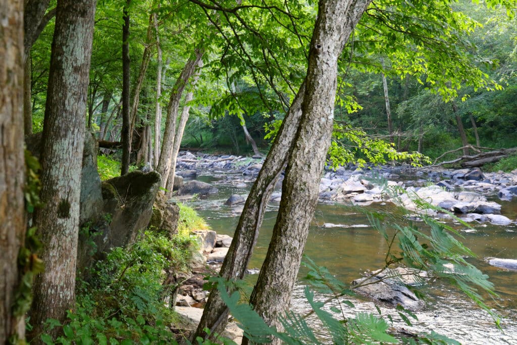 Plan a Trip to Eno River State Park 2 Eno River State park early morning
