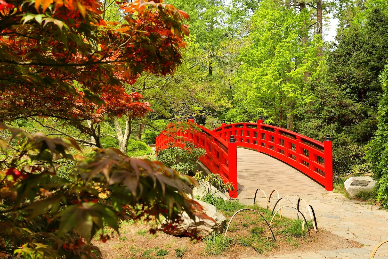 Staying Near Duke University: Best Lodging for Campus Visits 2 Visit the iconic bridge at the Sara P. Duke Gardens when staying at one of the best Boutique Hotels near Duke University.