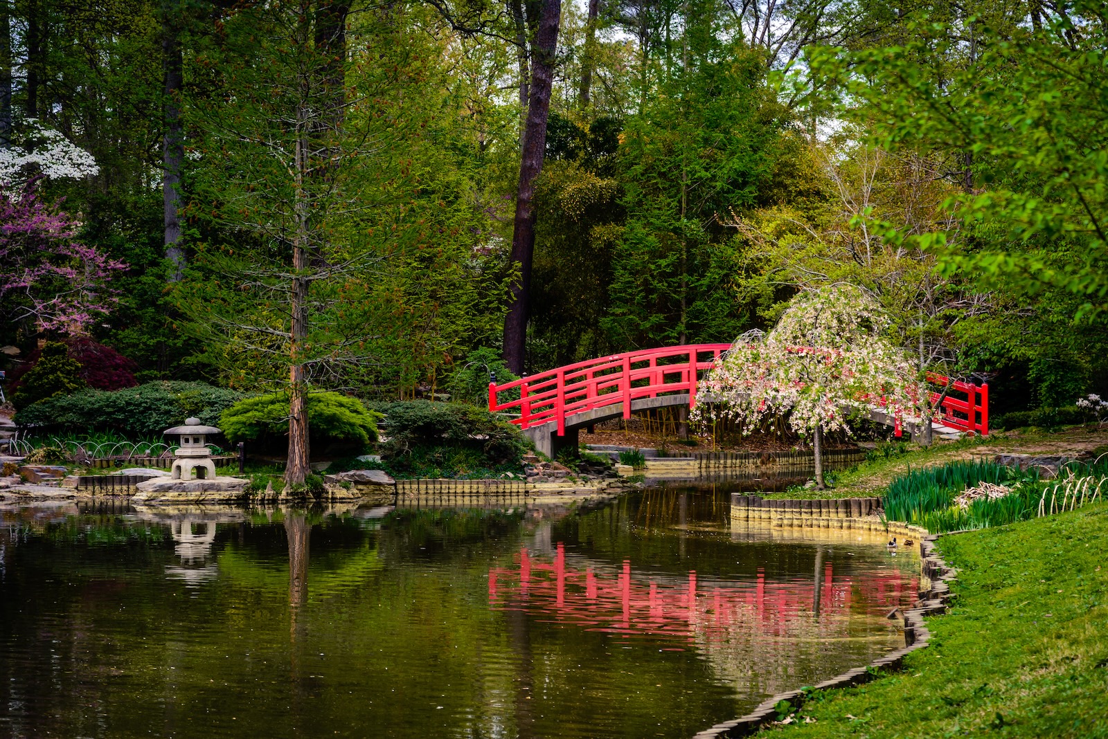 The Japanese Bridge at the Sarah P. Duke Gardens is one of the top things to do in Durham NC